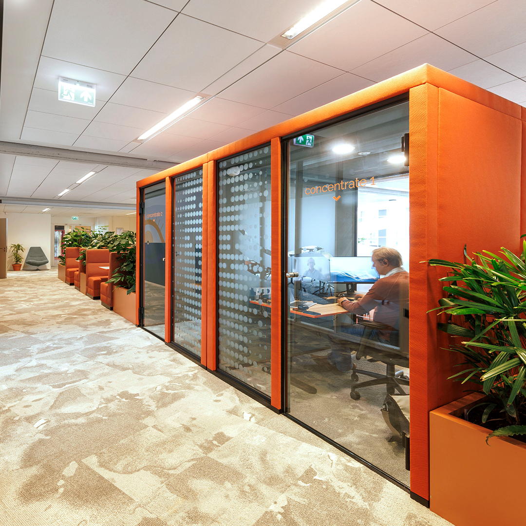 casala case study skim rotterdam