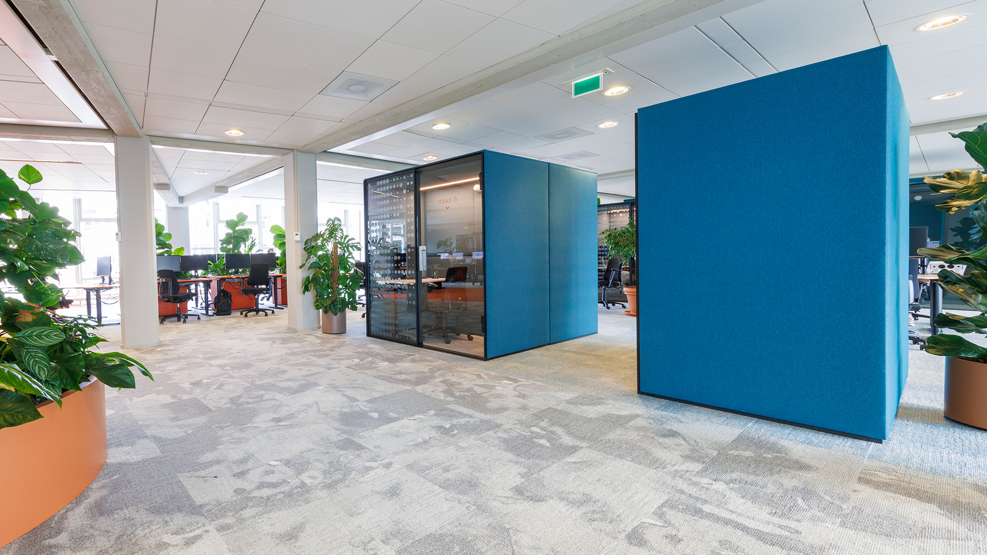 Casala references - Boston at Skim Rotterdam, the Netherlands